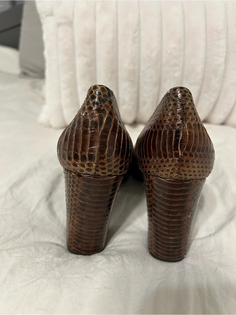 BCBGirls Brown Snake-Print Block Heel Pumps